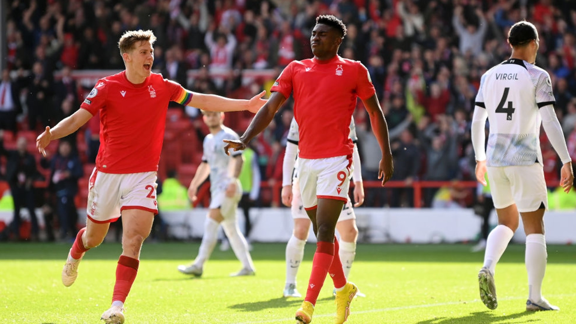 他们不仅引 他们不仅引